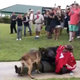 A trained military dog attacks a Navy SEAL wearing a Colin Kaepernick jersey, in an apparent mockery of the blackballed quarterback